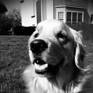 Meet your Posher, Bonnie